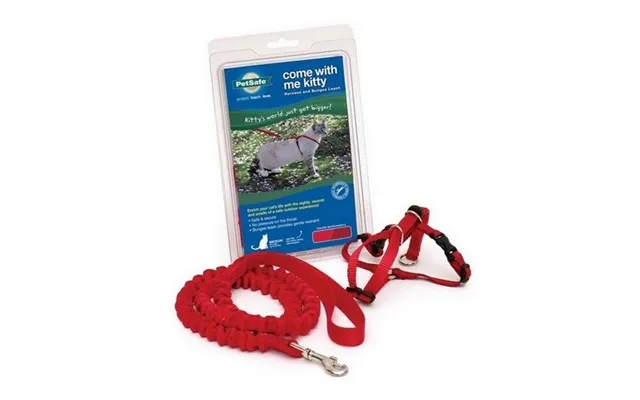 Petsafe - Petsafe Premier Come With Me Kitty Harness & Bungee Leash Combo