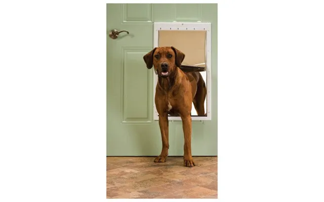 Petsafe - Plastic Pet Door White