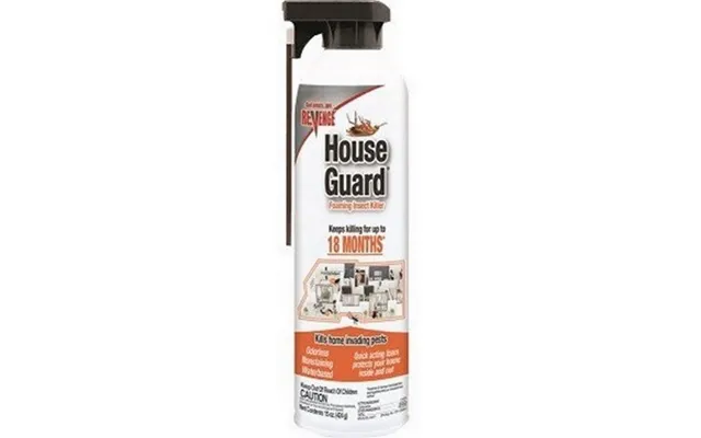 Revenge - Revenge House Guard-18 Aerosol
