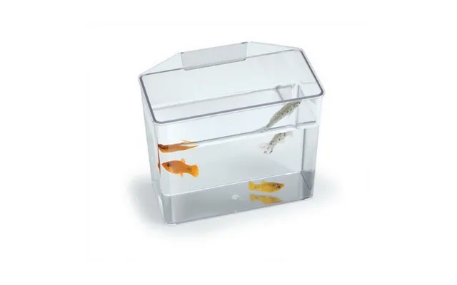 Specimen Container Convalescent Home Small - 5.1 L X 2.5 W X 4