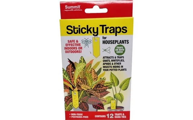 Sticky Traps - Stickytraps Houseplant Insect Traps