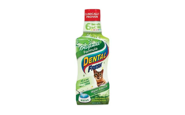 Synergy Labs - Synergy Labs Dental Fresh For Cats