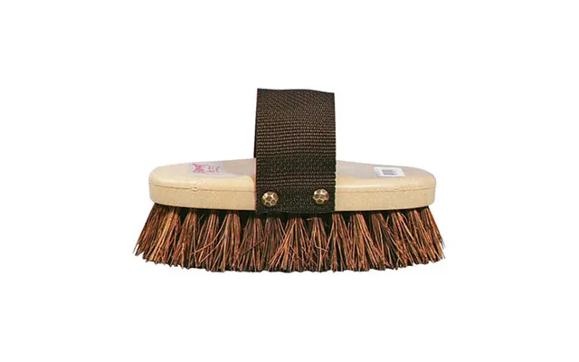 The Classic Brush-3 8 Stiff Brown Gf90 1 Count By Grip-fit