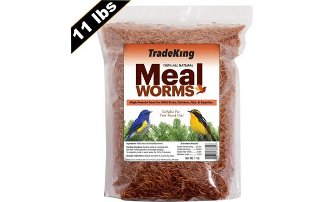 Tradeking - Tradeking Dried Mealworms