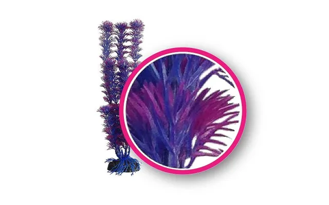 Weco - Weco Products Dream Series Fuschia Fern Aquarium Plant