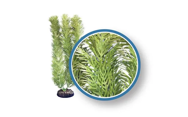 Weco - Weco Products Freshwater Pro Series Cabomba Aquarium Plant