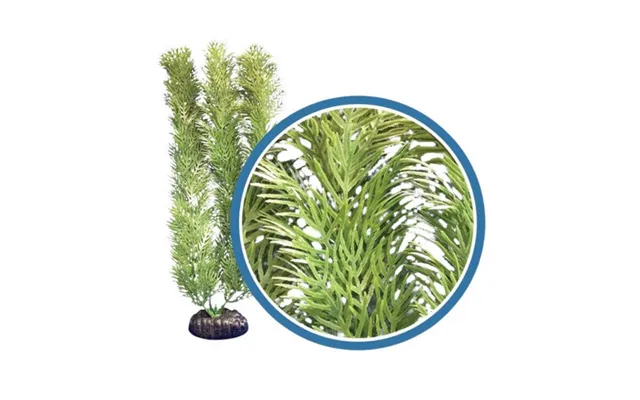 Weco - Weco Products Freshwater Pro Series Cabomba Aquarium Plant