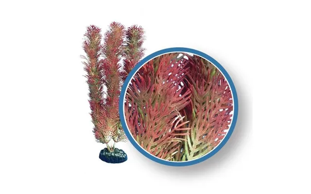 Weco - Weco Products Freshwater Pro Series Cabomba Aquarium Plant