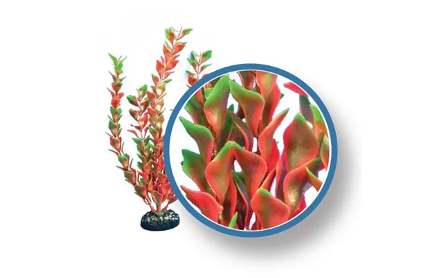 Weco - Weco Products Freshwater Pro Series Ludwigia Aquarium Plant