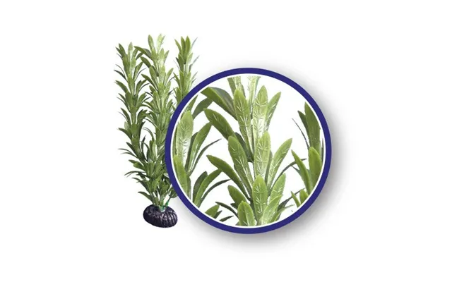Weco - Weco Products Freshwater Series Anacharis Aquarium Plant