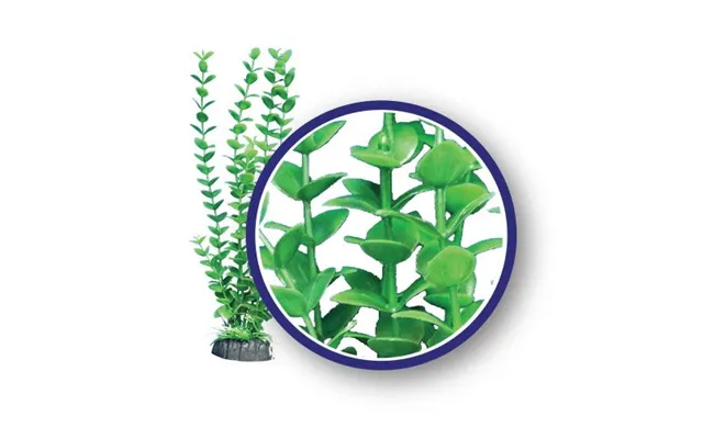 Weco - Weco Products Freshwater Series Bacopa Aquarium Plant