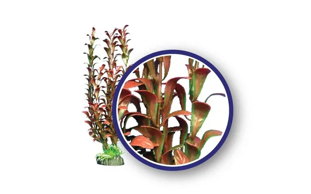 Weco - Weco Products Freshwater Series Hygrophilia Aquarium Plant
