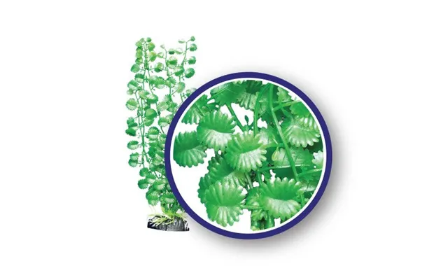 Weco - Weco Products Freshwater Series Japanese Cress Aquarium Plant