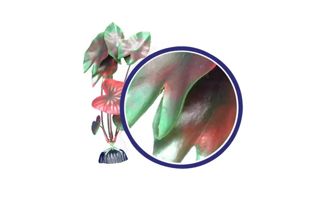Weco - Weco Products Freshwater Series Tiger Lotus Aquarium Plant