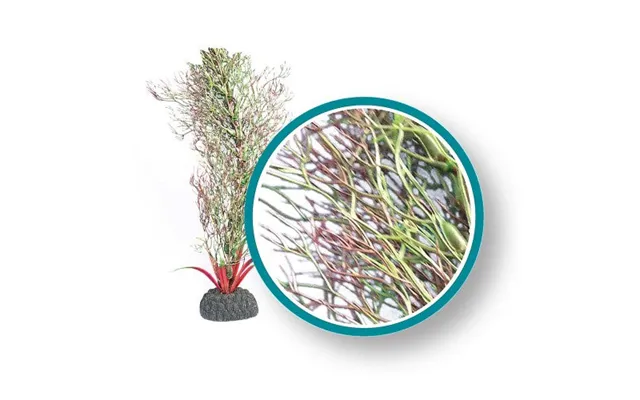 Weco - Weco Products Marine Pro Series Fine Branch Kelp Aquarium Plant