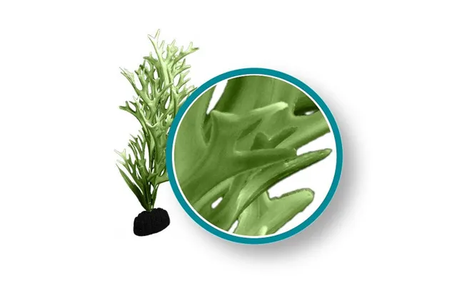 Weco - Weco Products Marine Pro Series Giant Kelp Aquarium Plant