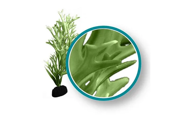 Weco - Weco Products Marine Pro Series Giant Kelp Aquarium Plant