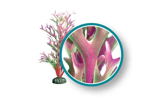 Weco - Weco Products Marine Pro Series Giant Kelp Aquarium Plant