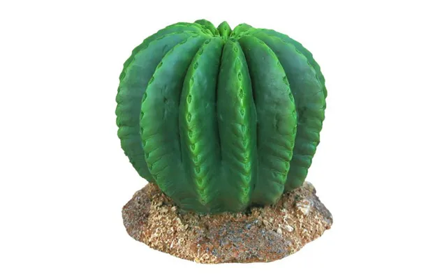 Weco - Weco Products Wecorama Badlands Golden Barrel Cactus Terrarium Ornament