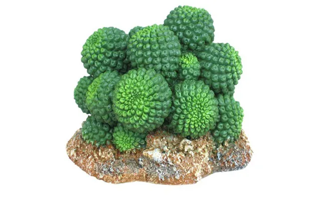 Weco - Weco Products Wecorama Badlands Sonoran Cactus Terrarium Ornament
