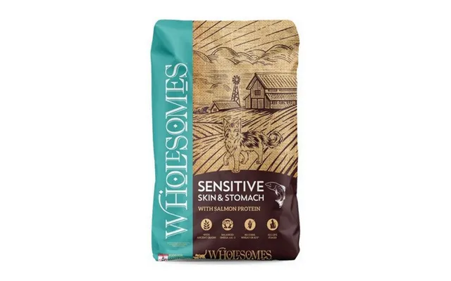 Wholesome - Wholesomes Sensitive Skin & Stomach With Salmon Protein Dry Cat Food