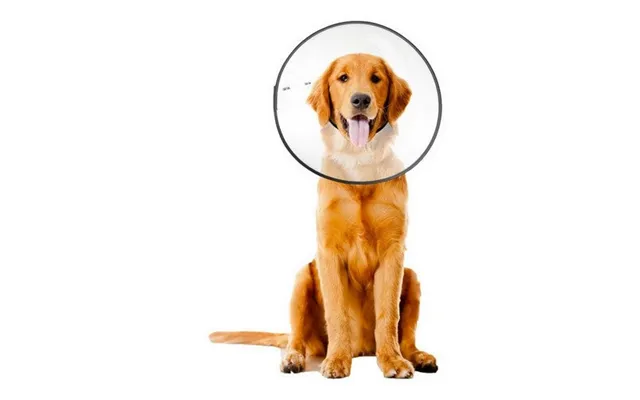 Zenpet - Zenpet E-clear Plastic Recovery Collar
