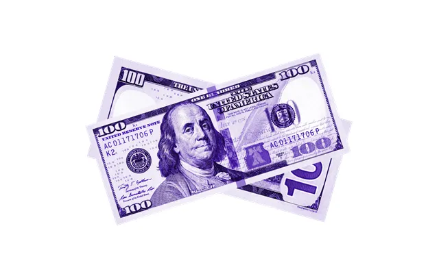 100x 100 New Series Purple Bills