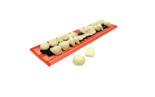 Professional Grade Fake Resin Teeth Set - 28 Pieces