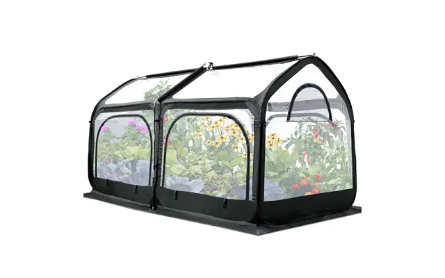 98 X 49 X 53 Small Greenhouse - Black