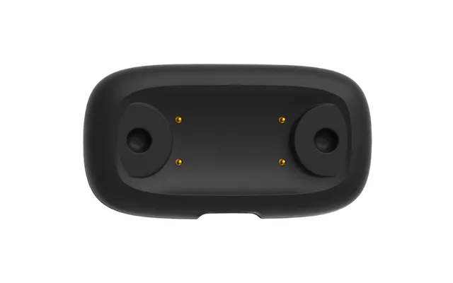 Charging Accessory For 29210061001