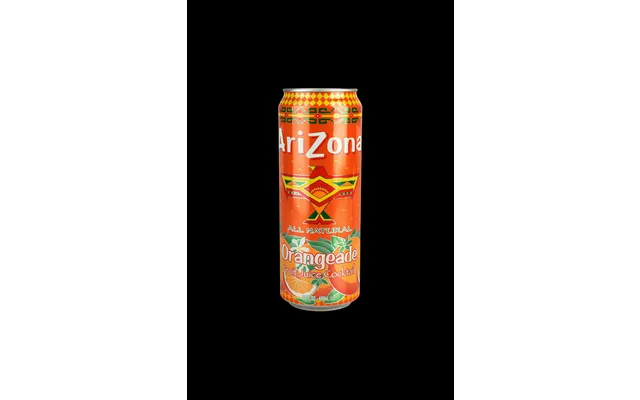 Arizona Beverage Can Diversion Stash Safe - 23oz