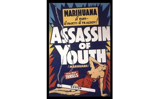 Assassin Of Youth Poster