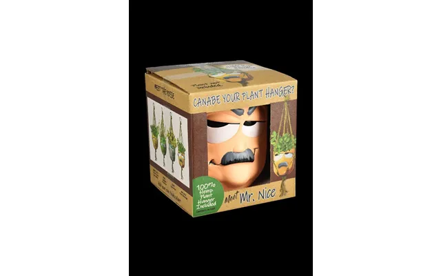 Best Buds Hanging Flower Pot