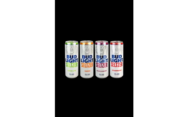 Hard Seltzer Diversion Stash Safe - 12oz