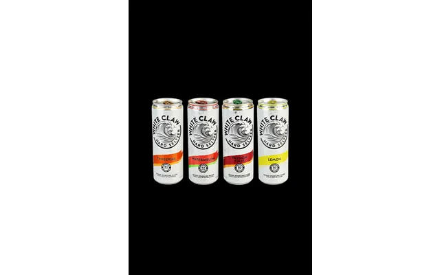 Hard Seltzer Diversion Stash Safe - 12oz