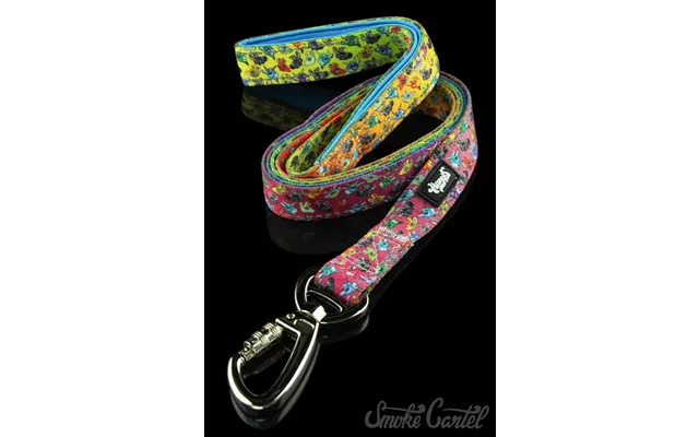 Headypet 6 Foot Leash