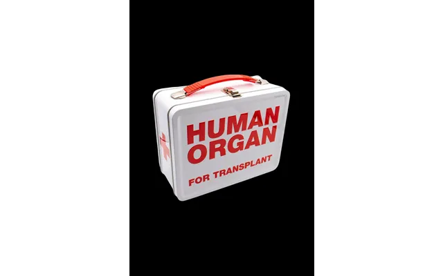 Metal Lunch Box