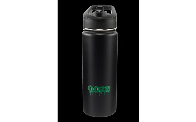 Ooze Stainless Steel 18oz Water Bottle With Straw