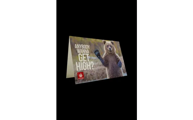 Stonerdays Anybody Wanna Get High Hemp Cards