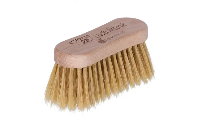 Ravioli Brush And Excess Flour Removal