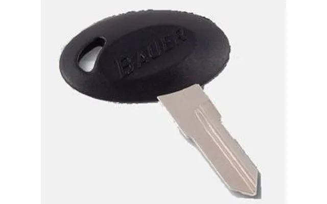 Ap Products 013-689313 Bauer Rv Series Repl Key - Replacement Key For Bauer Rv Series Door Lock Key Code 313 With Bauer 