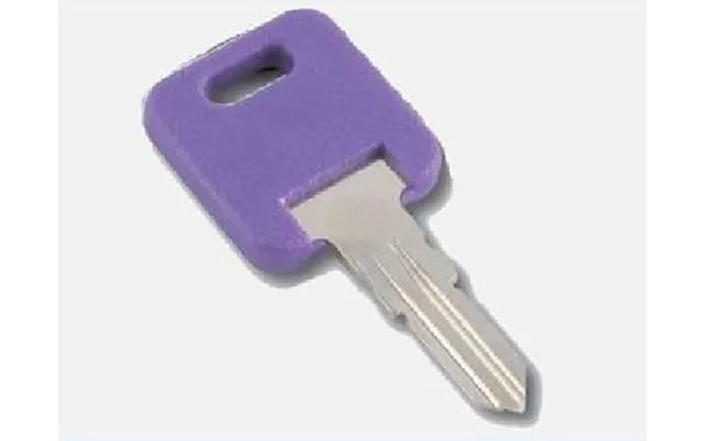Ap Products 013690310 Global Repl Key Replacement Key For Global Series Door Lock Key Code 310