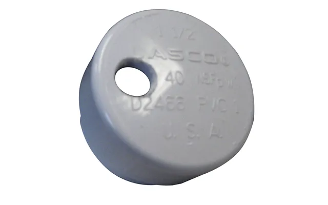 Lees Rh5999-0003 Pvc Drain Cap F Heavy Rod Holders 1 4 Inch Npt For Barb