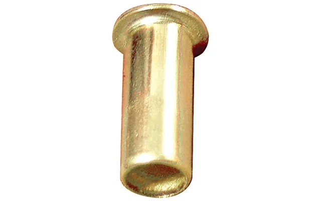 No Logo 00561-06 Brass Insert 3 8 Inch