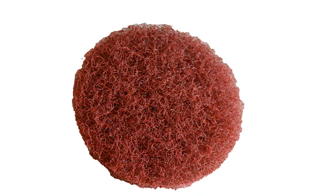 Shurhold 3203 5 Inch Coarse Scrubber Pad For Dual Action Polisher