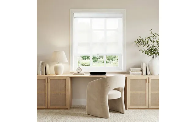 Alvin Light Filtering Cordless Roller Shades - Plain White M113-1
