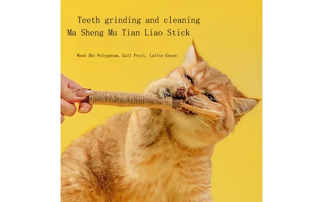 Cat Wood Sky Polygonum Teeth Grinding Rod With Gall Fruit - Cleaning Teeth