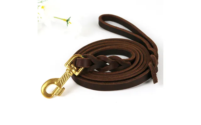 Copper Hook Pet For Medium And Large Dogs - Golden Retriever Soft Leather Dog Leash