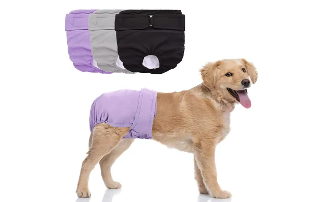 Diaper Shorts Lge Dog - Female Sanity Physiological Underwe