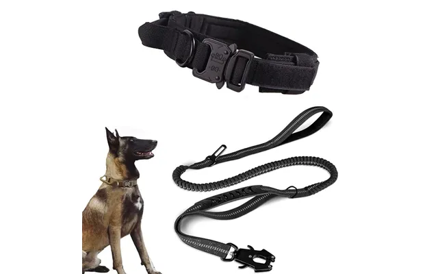 Factory Direct Sas Explosion-proof Frog Buck Training Medium And Large Dogs Tactical Safety Leash Dog Rope